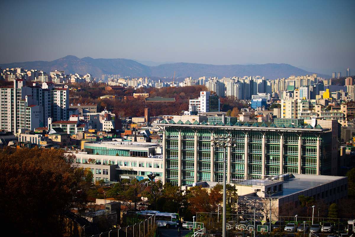 city high-rise buildings beside trees town