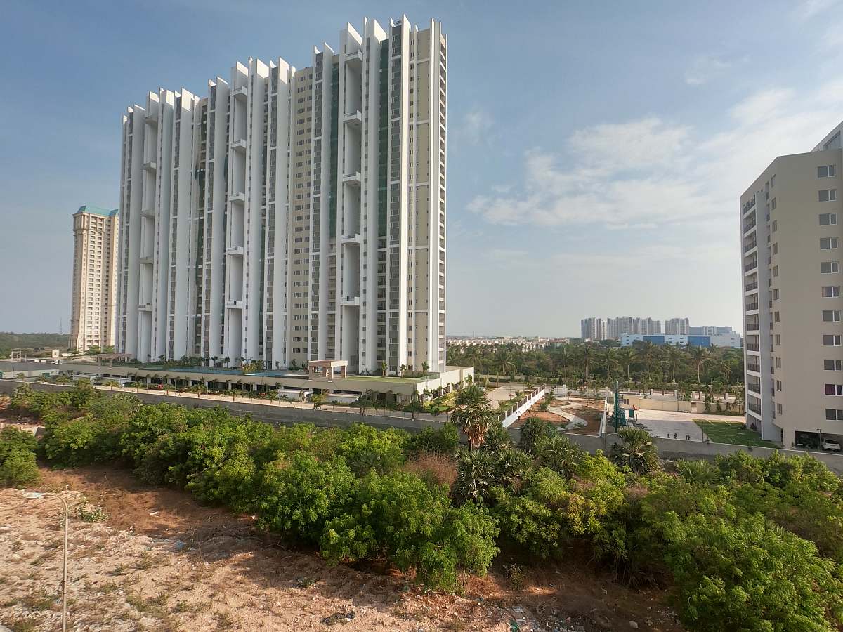 city high-rise buildings surrounded by trees high rise