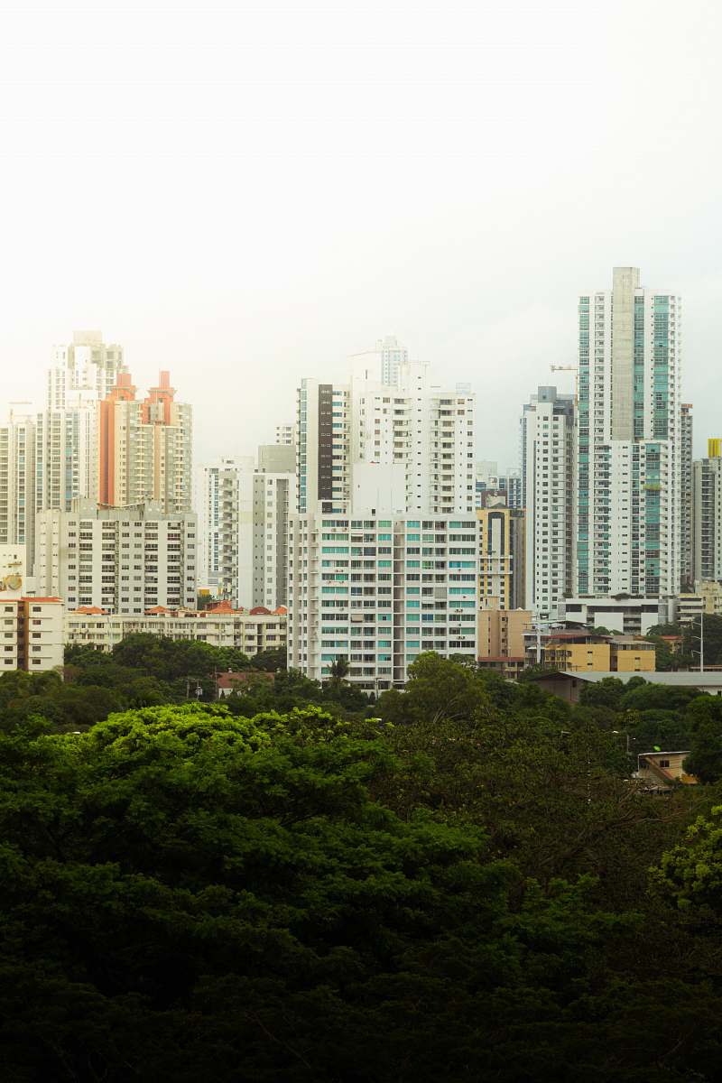 city landscape photo of white buildings high rise