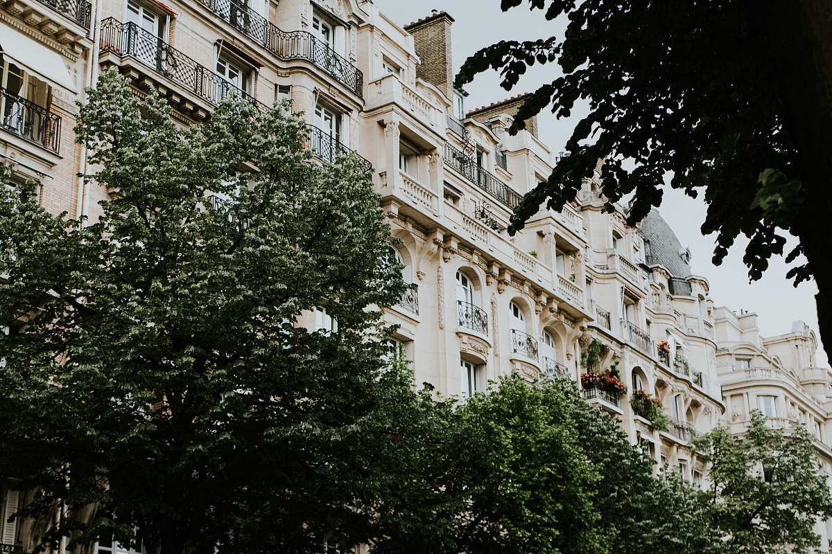 city leafed trees in front of building during daytime high rise