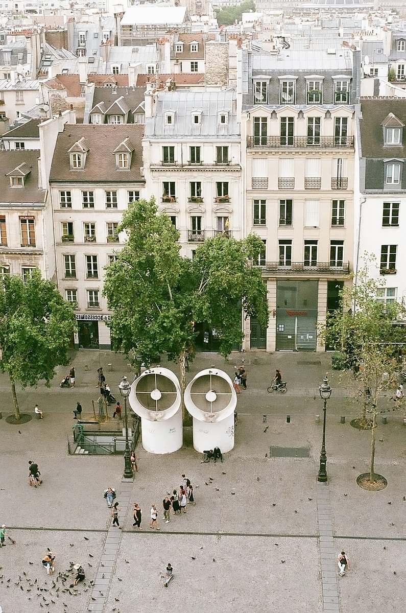 city people near trees during daytime town