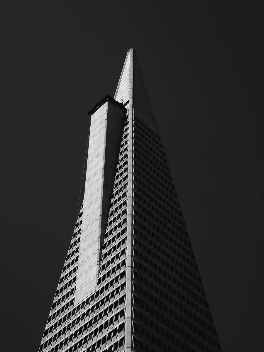 architecture worm's eye-view of building black-and-white