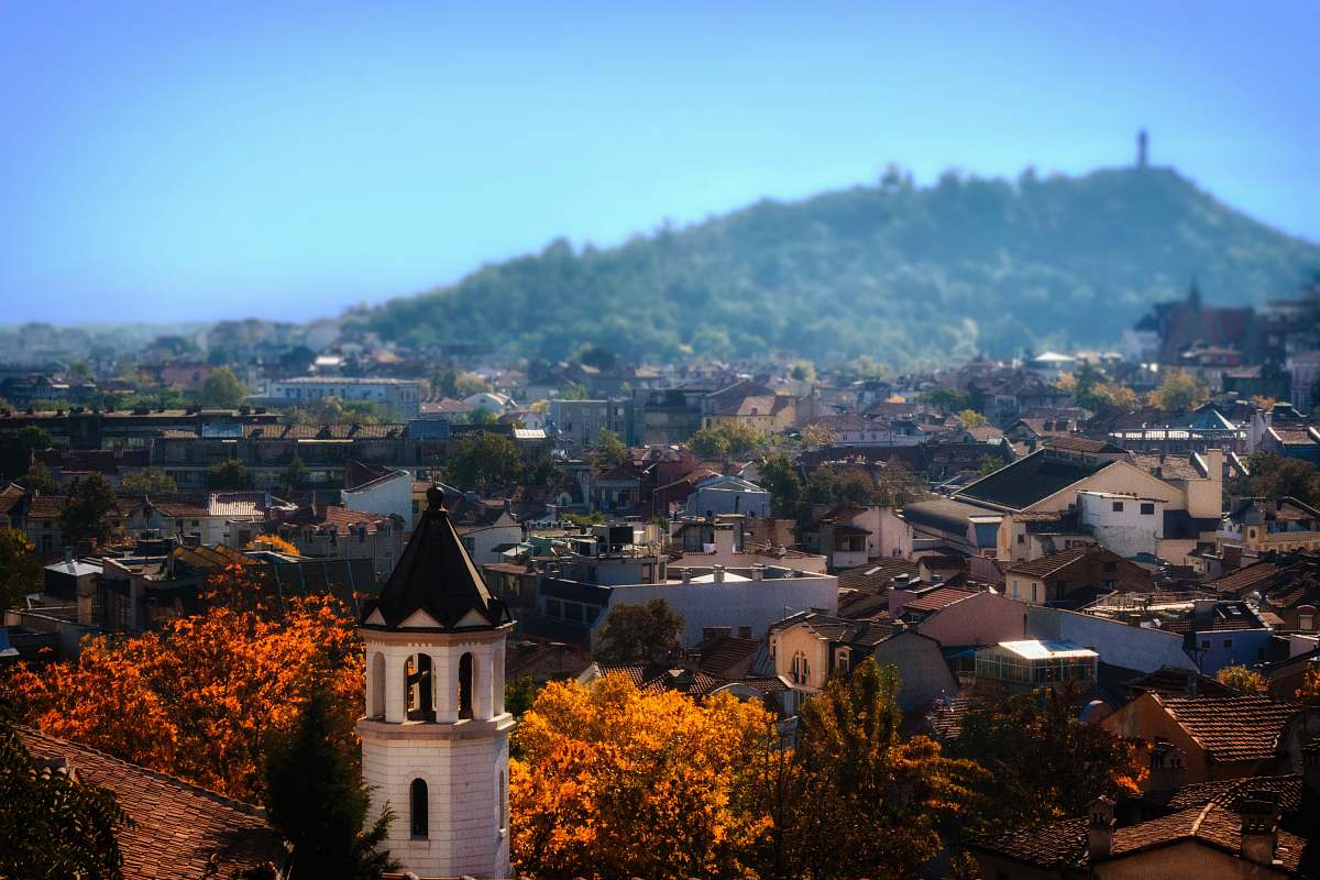 town aerial photography of houses near mountain landscape