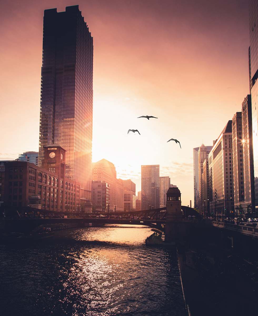 building birds in flight over body of water high rise