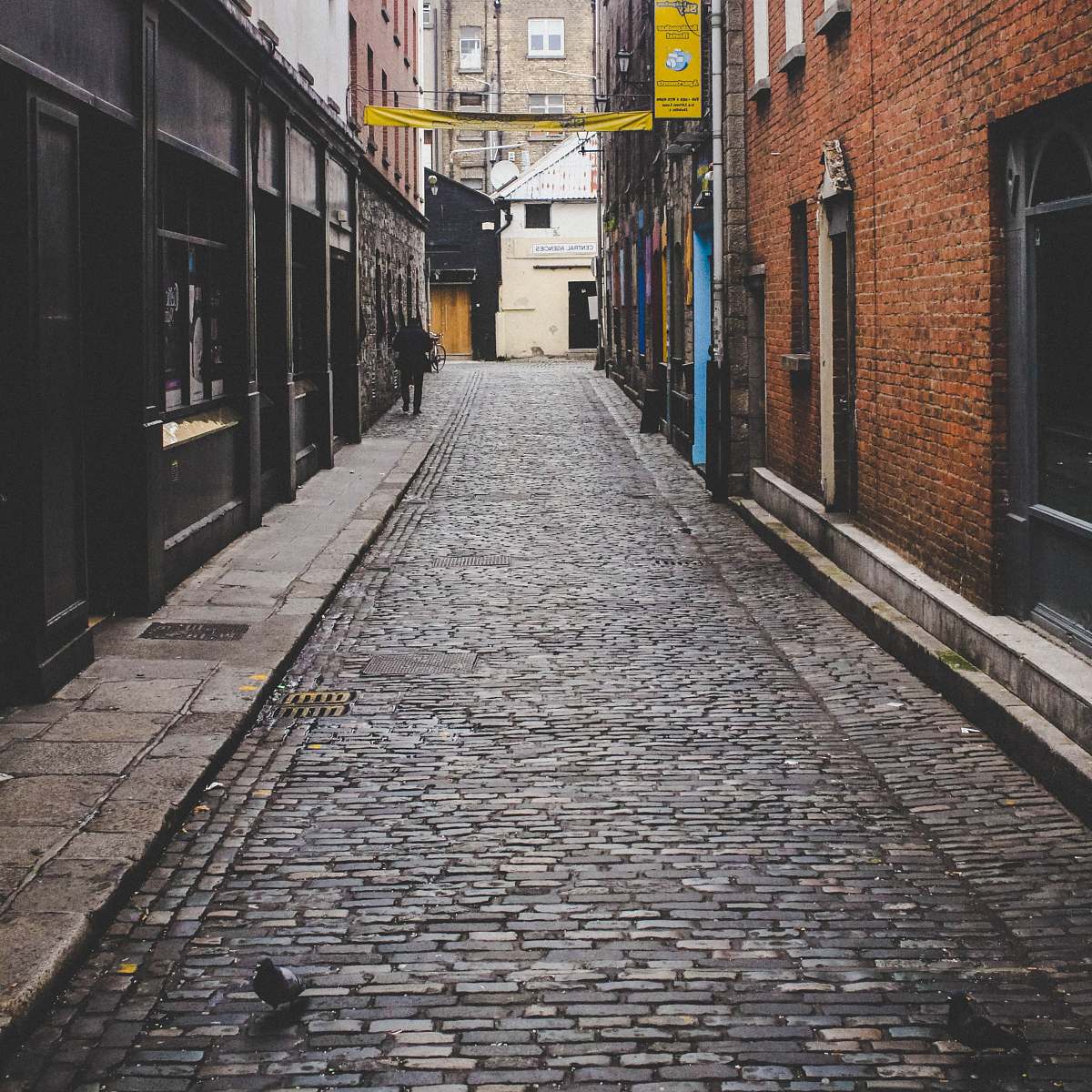 road black and brown concrete building street