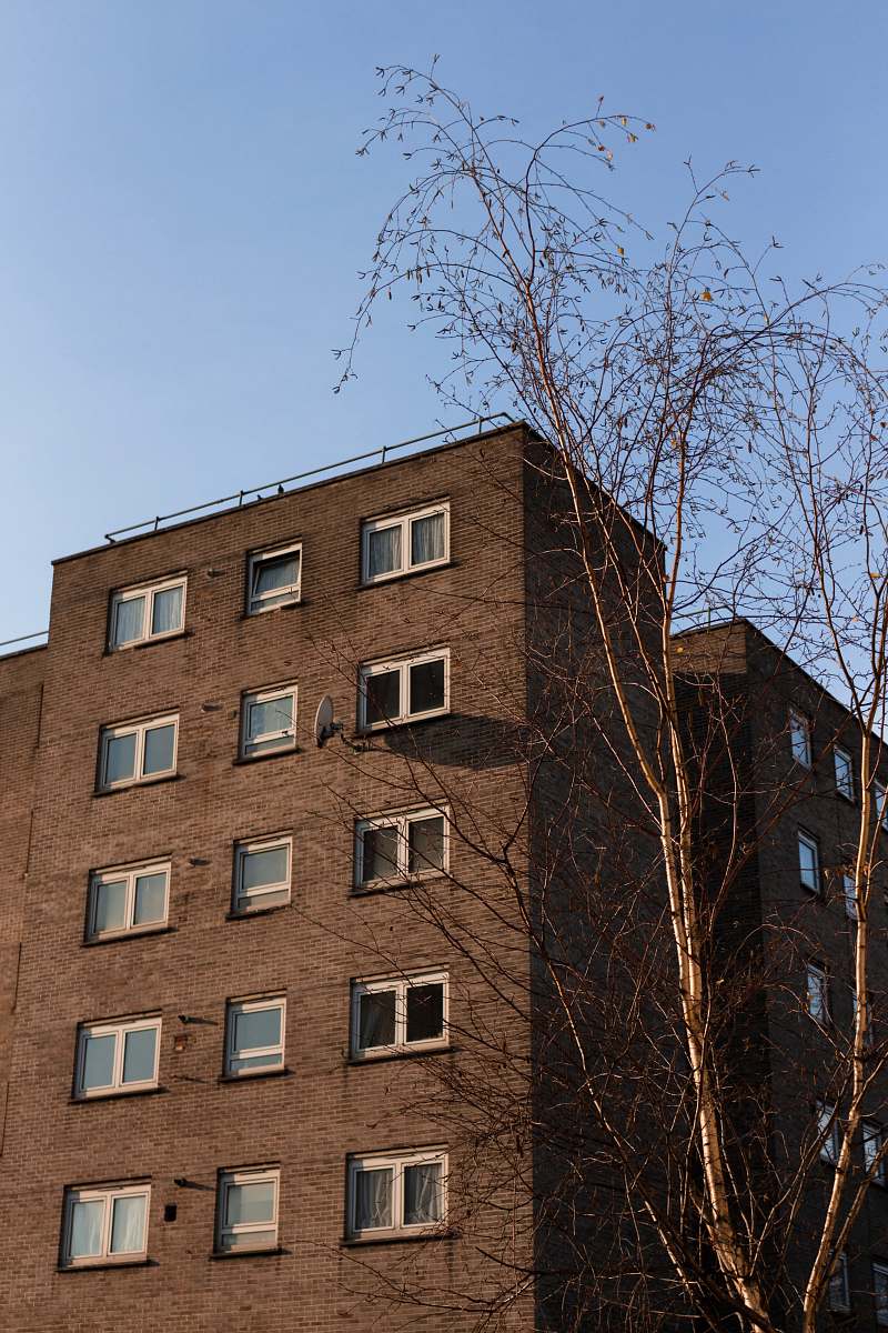 building brown building beside leafless tree during daytime high rise