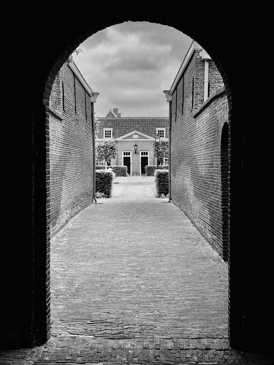 building grayscale photo of house black-and-white