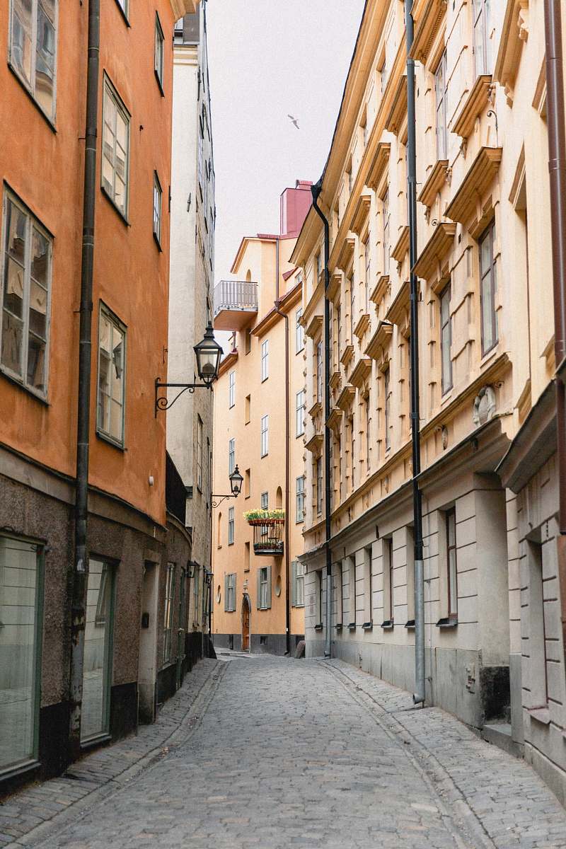 street grey concrete pathway between buildings during daytime path