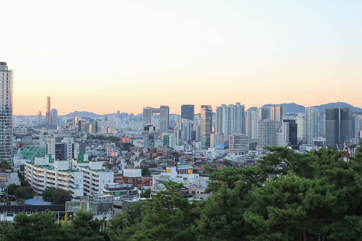 urban high-angle photography of city near trees town
