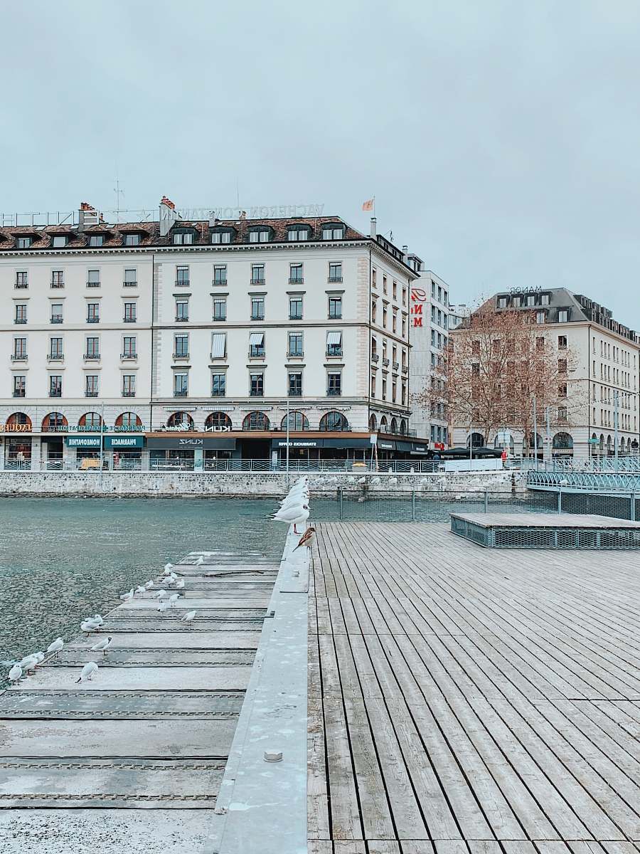 urban photography of white and brown building during daytime town
