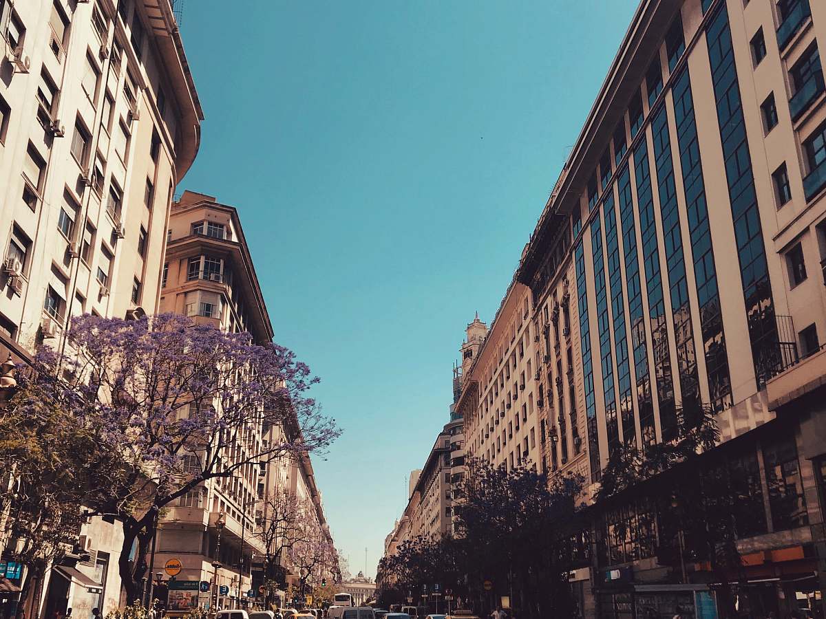 building trees near buildings downtown