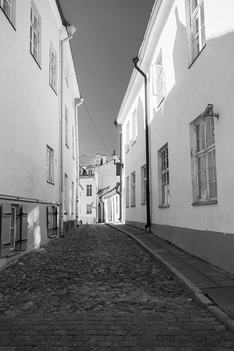 black-and-white white concrete building street