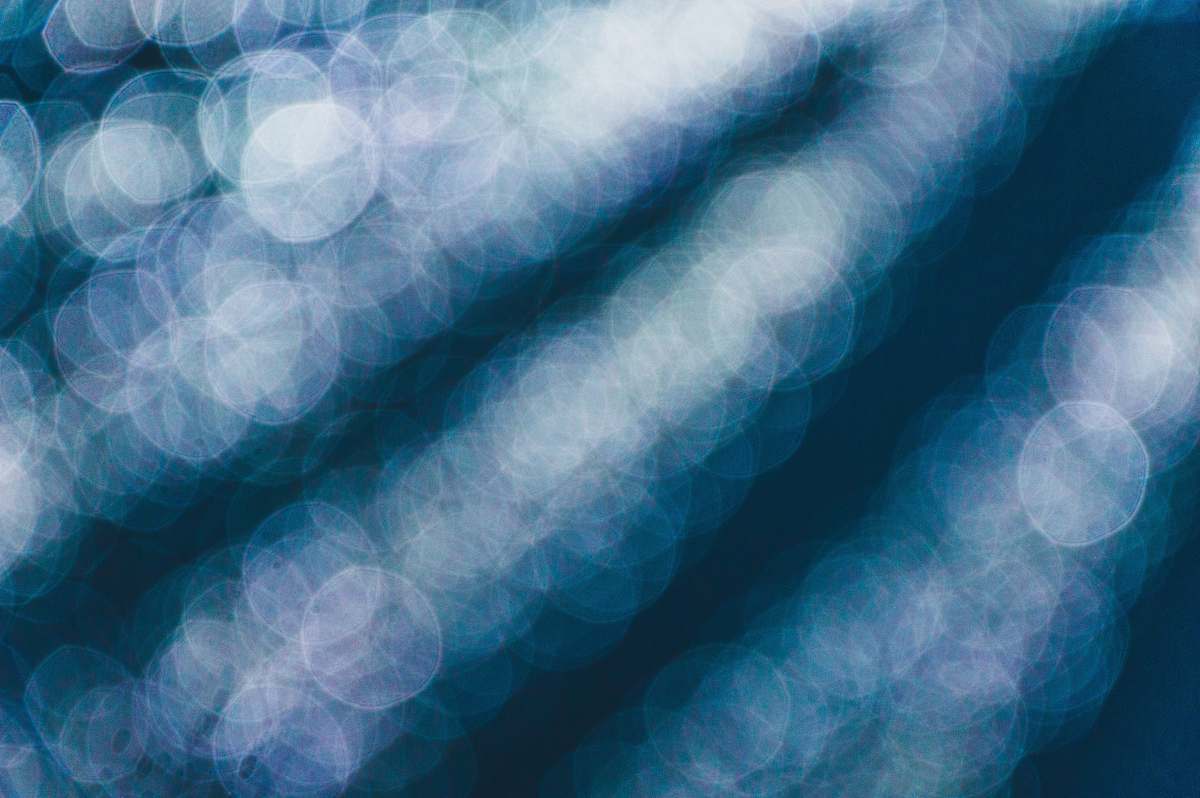 reptile bokeh photography of blue lights sea life