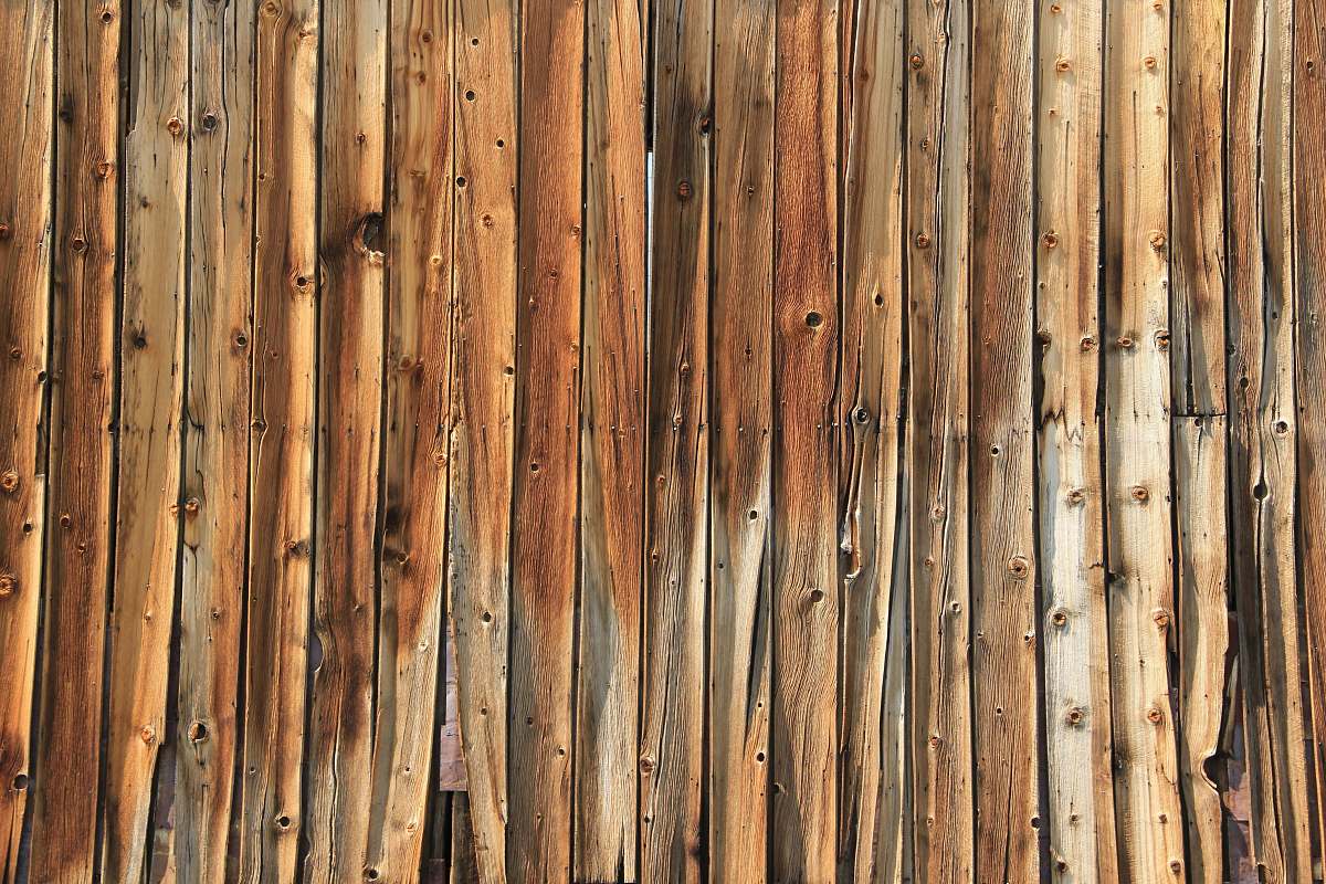 flora brown wooden surface plant