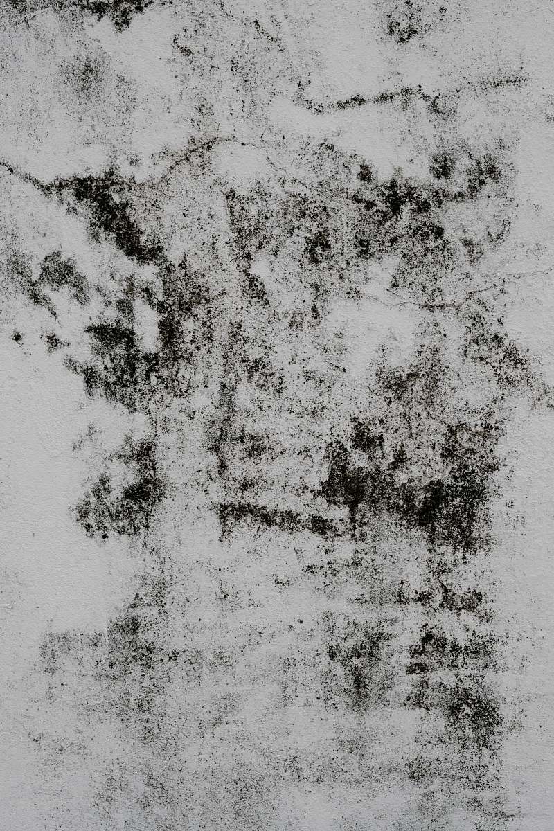 texture  rug