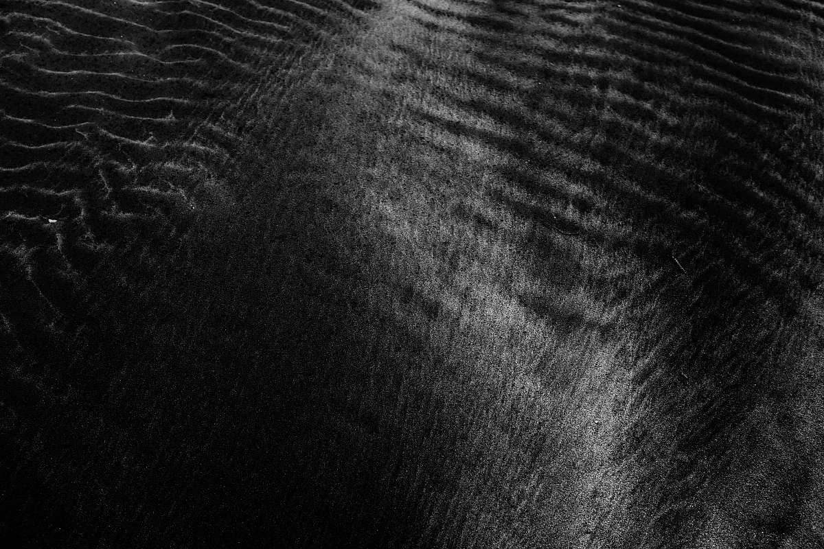 nature grayscale photo of body of water soil