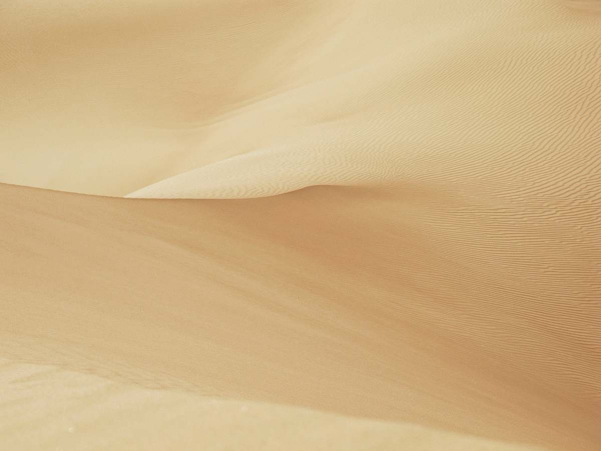 nature  desert