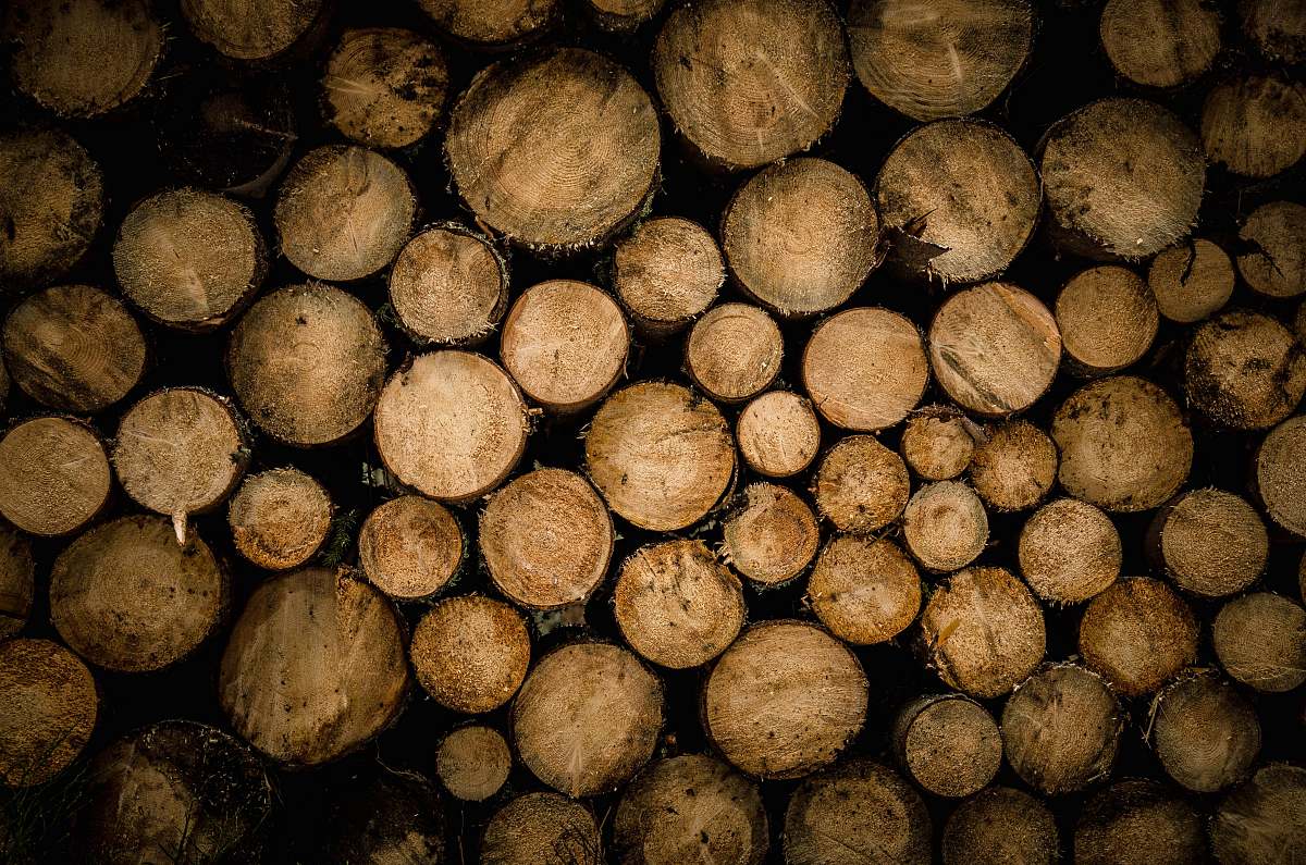 wood brown chopped logs lumber