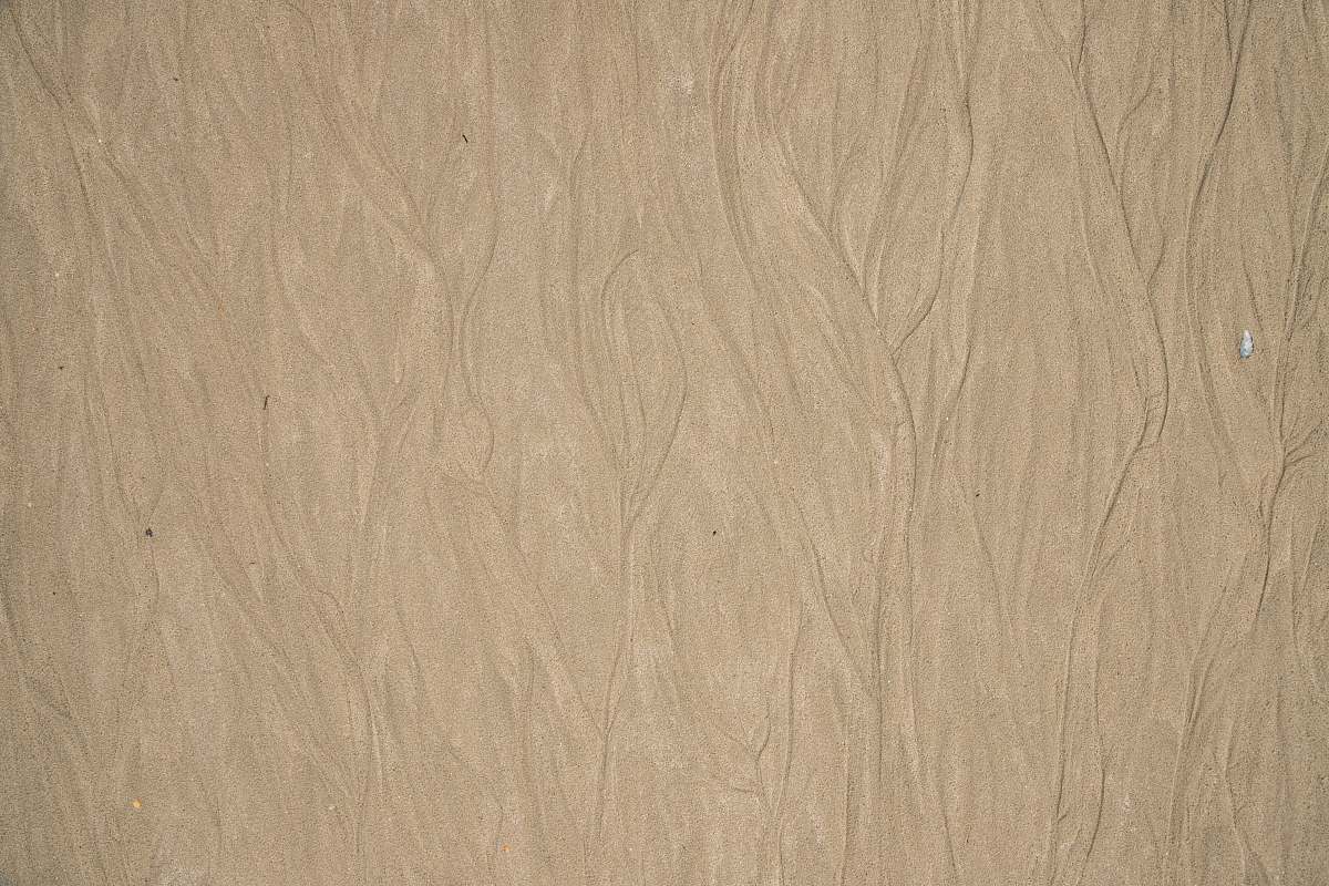 wood brown surface plywood