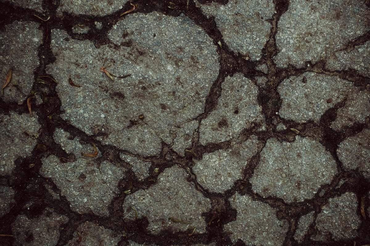 soil  ground