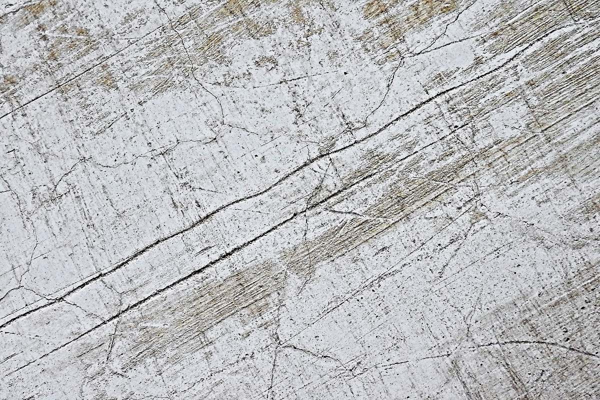 Texture White And Brown Wooden Surface Nature Image Free Photo