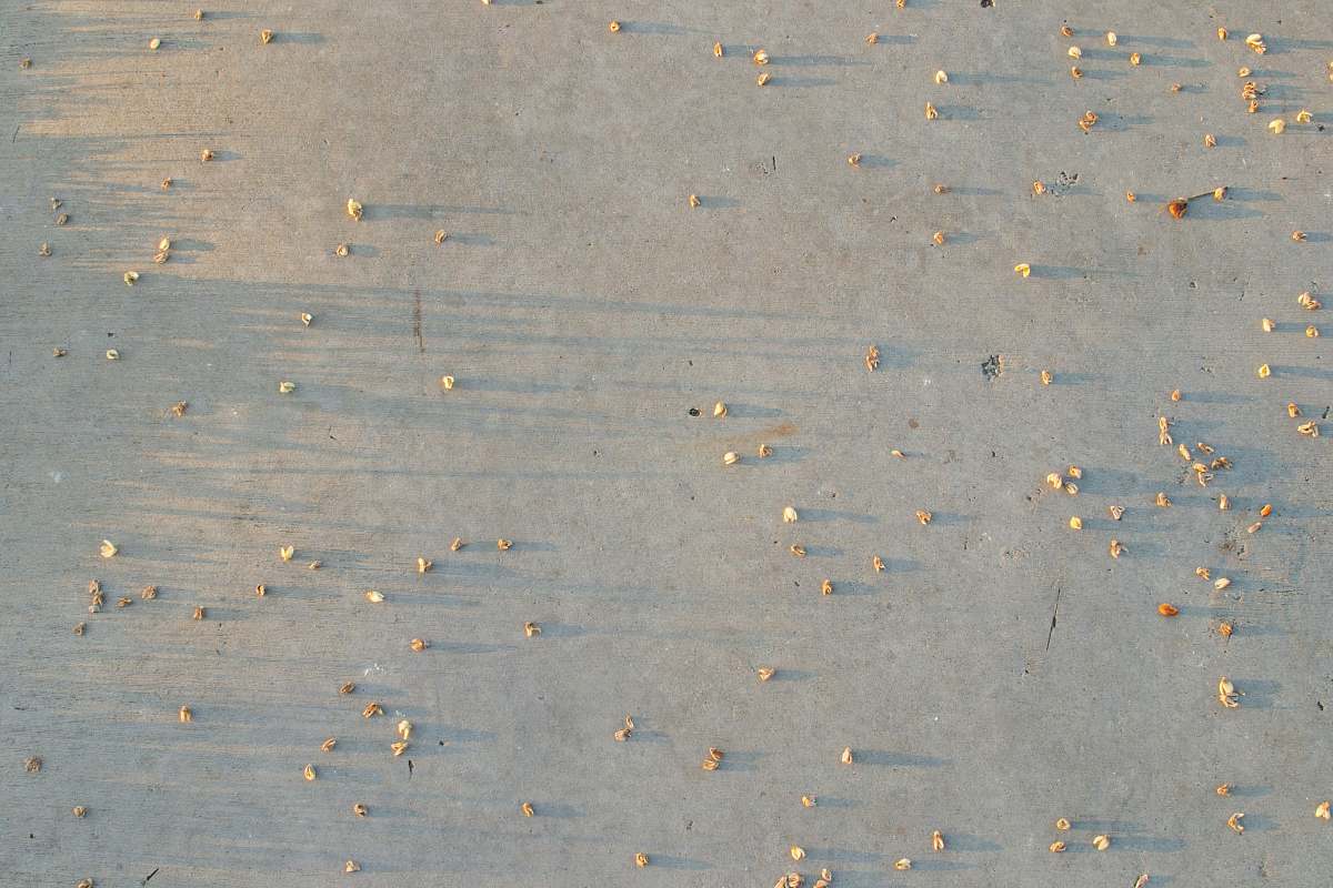 paper white sand confetti