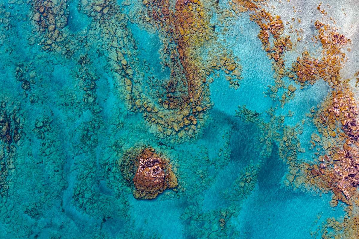 ocean aerial photography of rock formation sea life