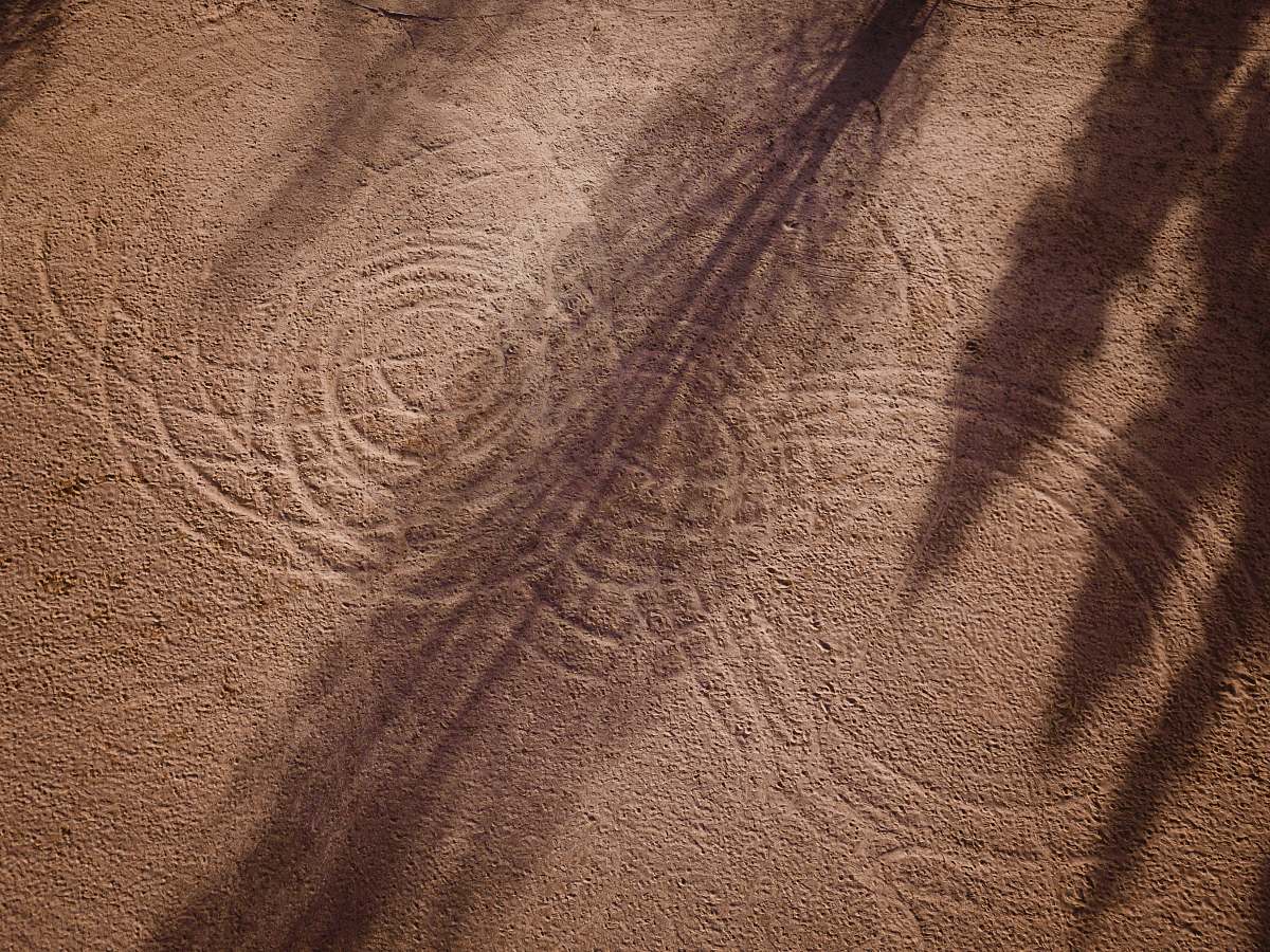 outdoors brown and white floral textile soil