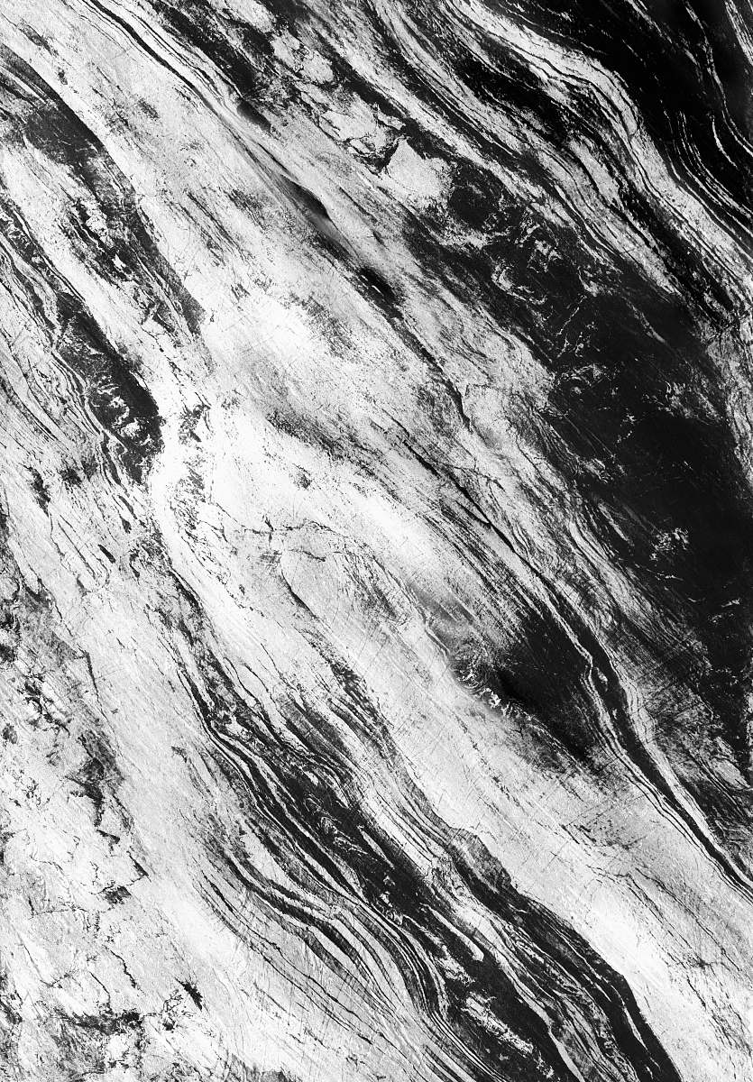 texture brown tree branch black-and-white