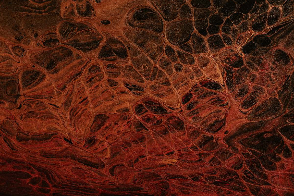 fractal red and gray abstract painting brown