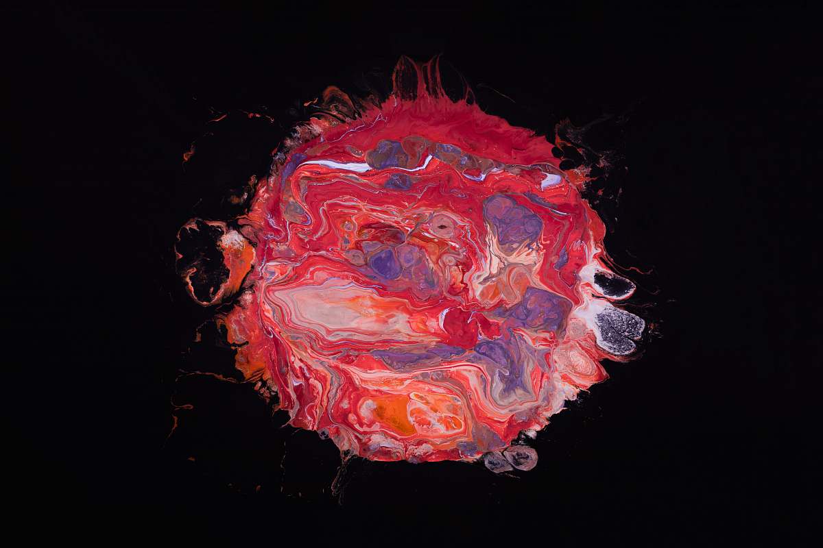 blossom red, blue, and gray oil abstract painting flower
