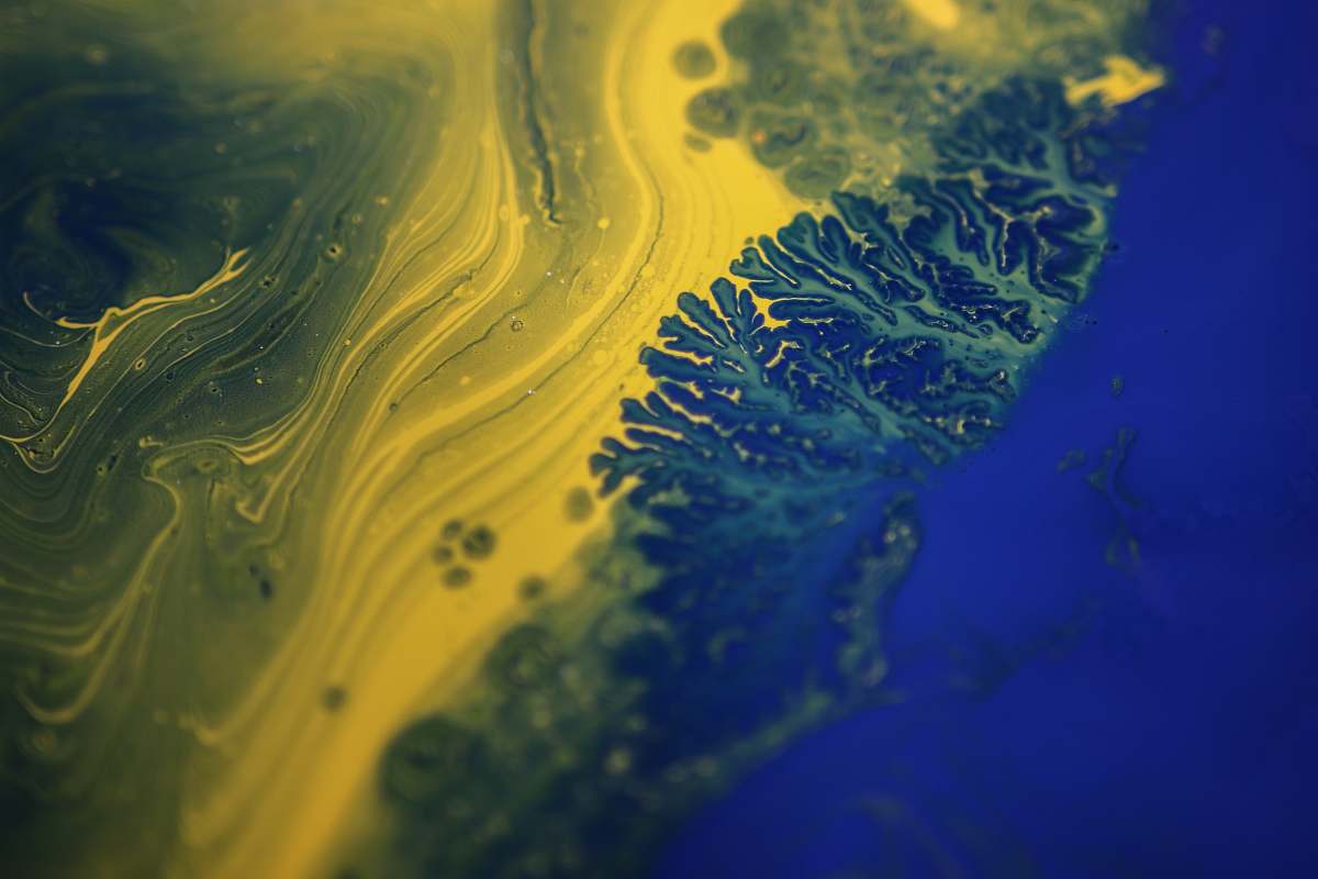 algae  flora