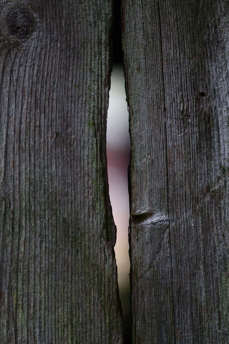 wood  hardwood