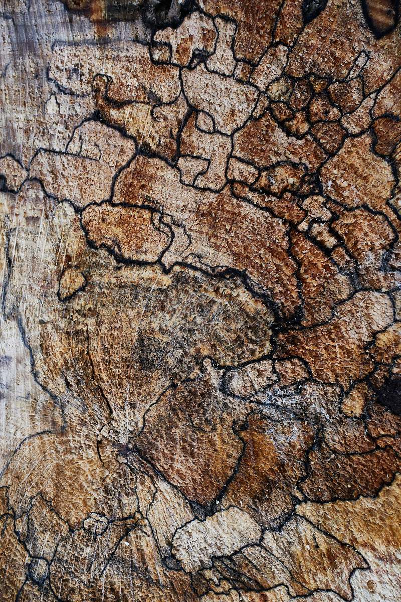 ground brown surface soil