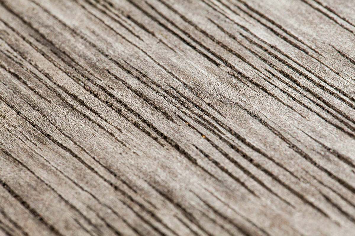wood brown wooden surface in close up photography plywood