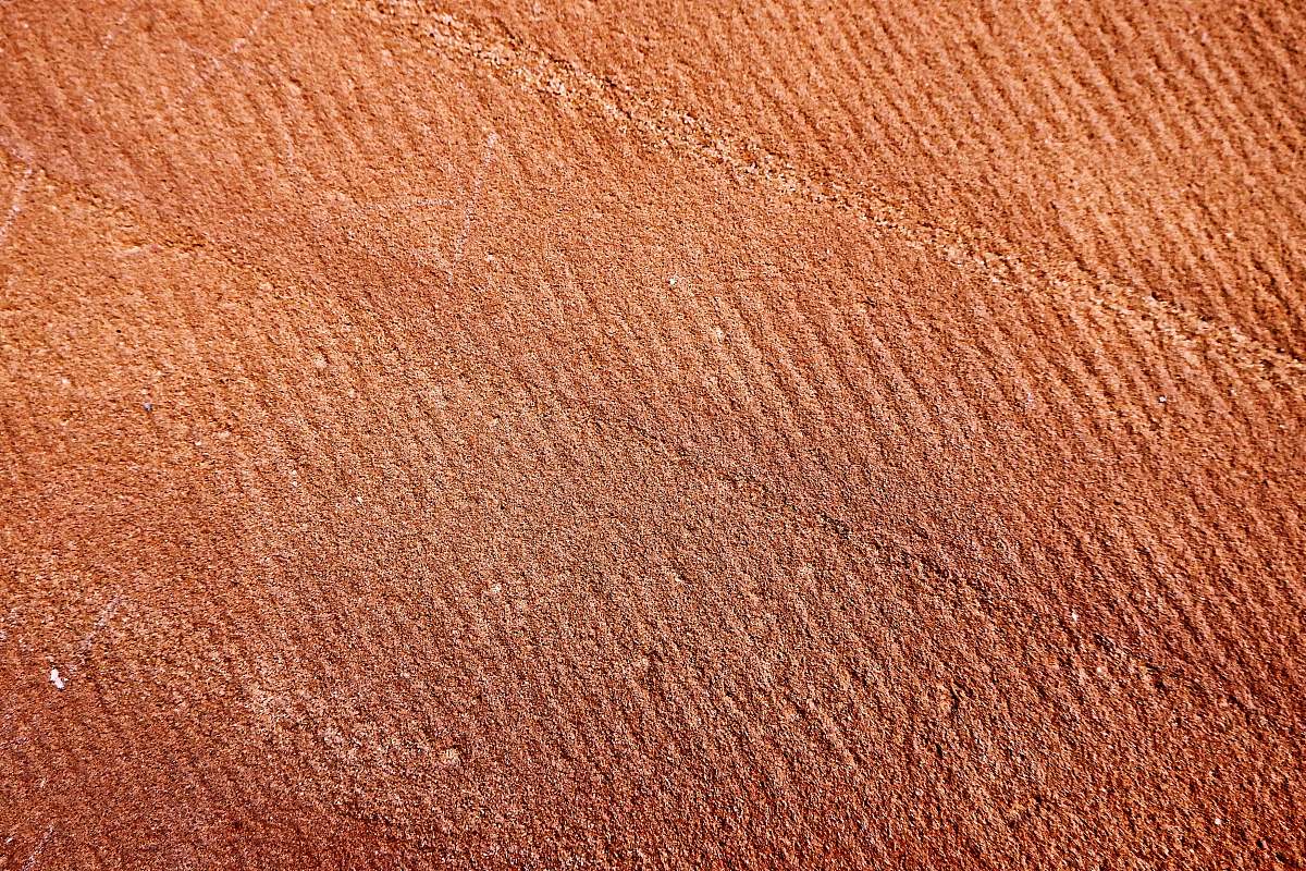 nature close-up photography of brown surface outdoors