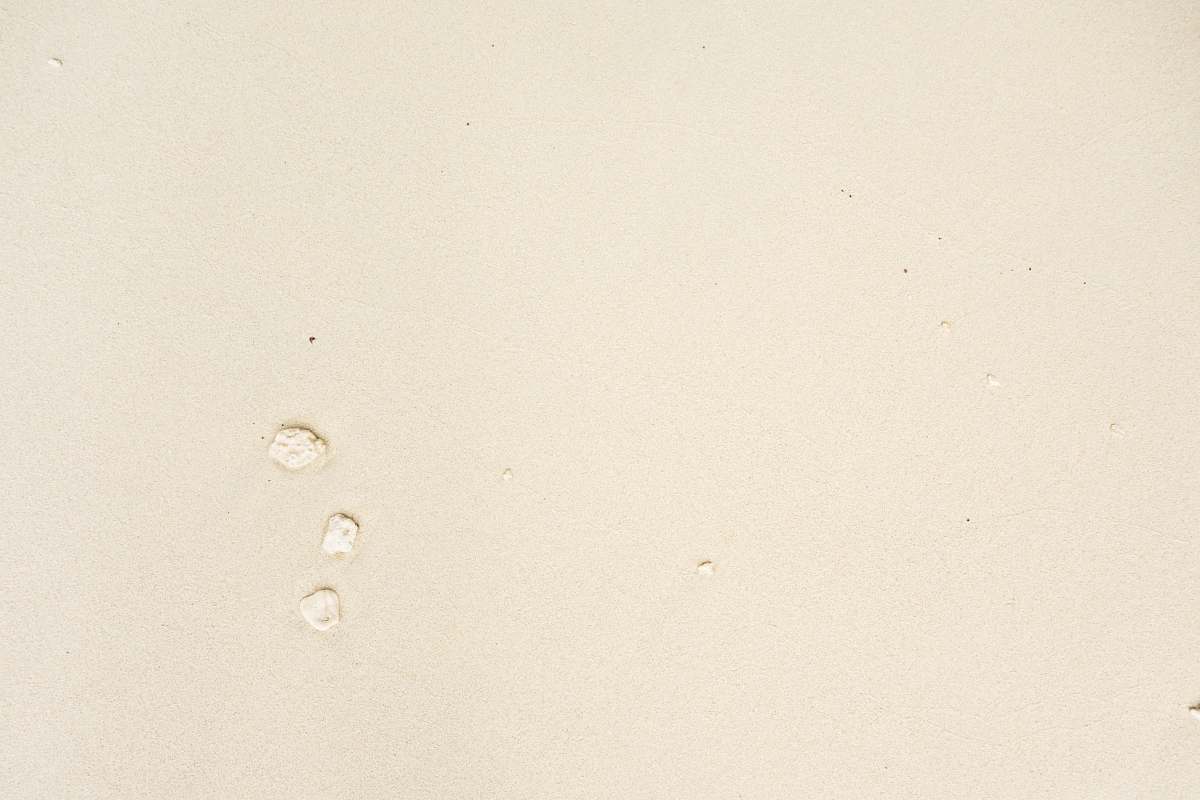 beige  sand