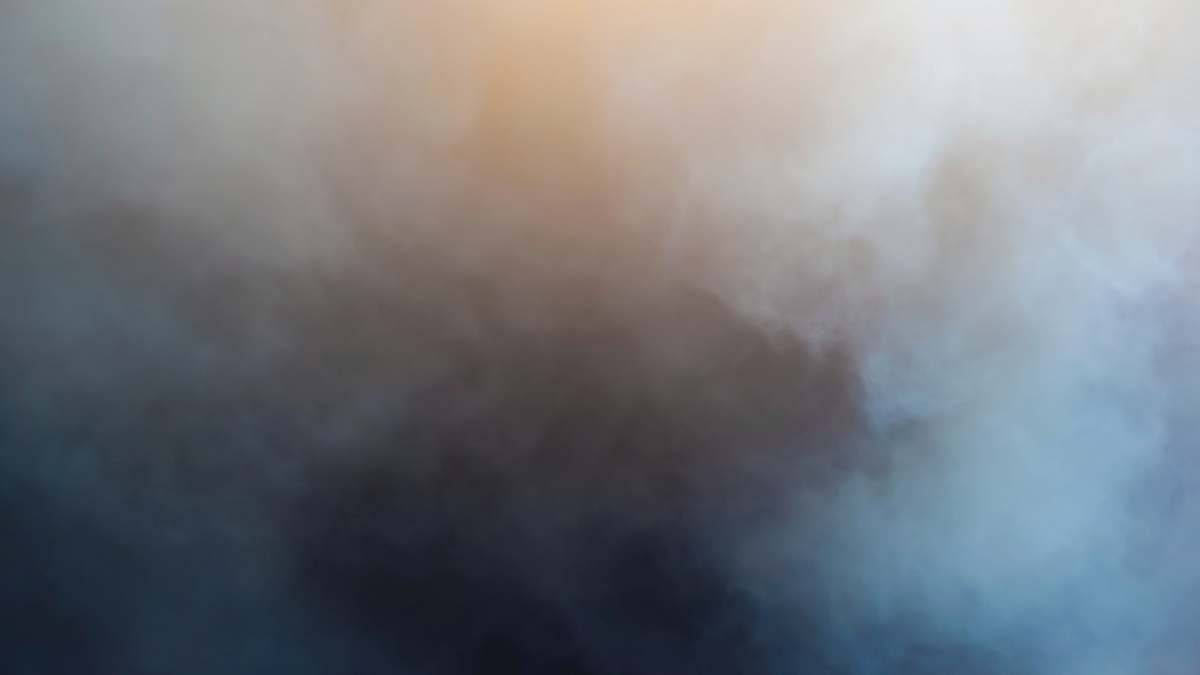 fog  nature