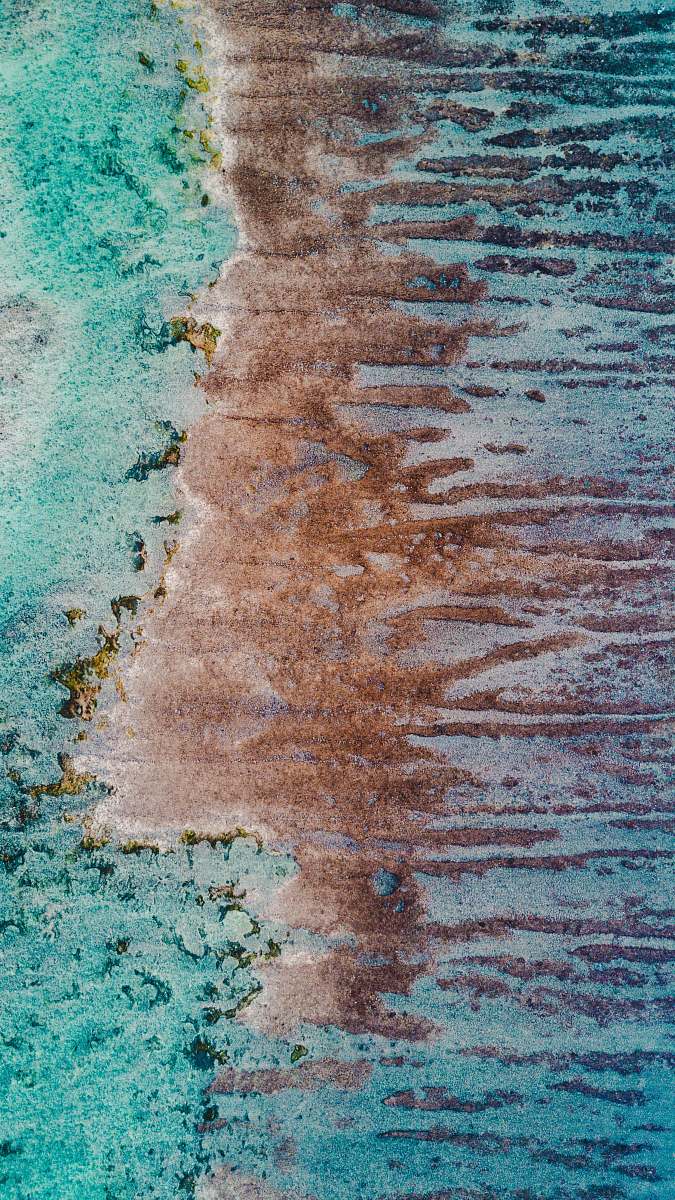 ocean  coastline