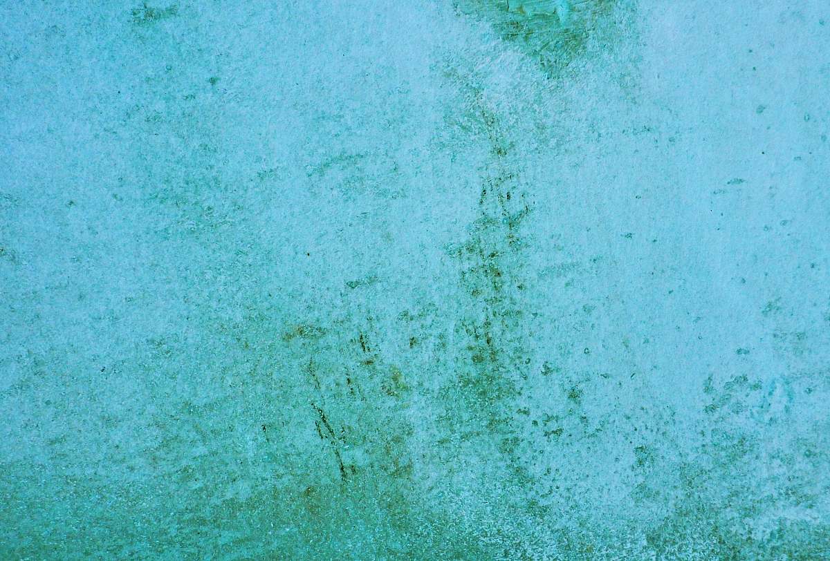 teal  blue