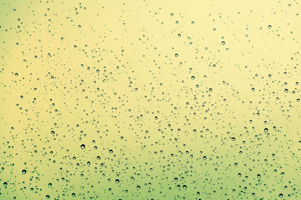 yellow  pattern