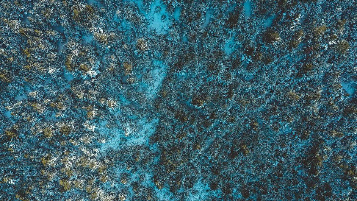 nature aerial photography of green land ] catalonia