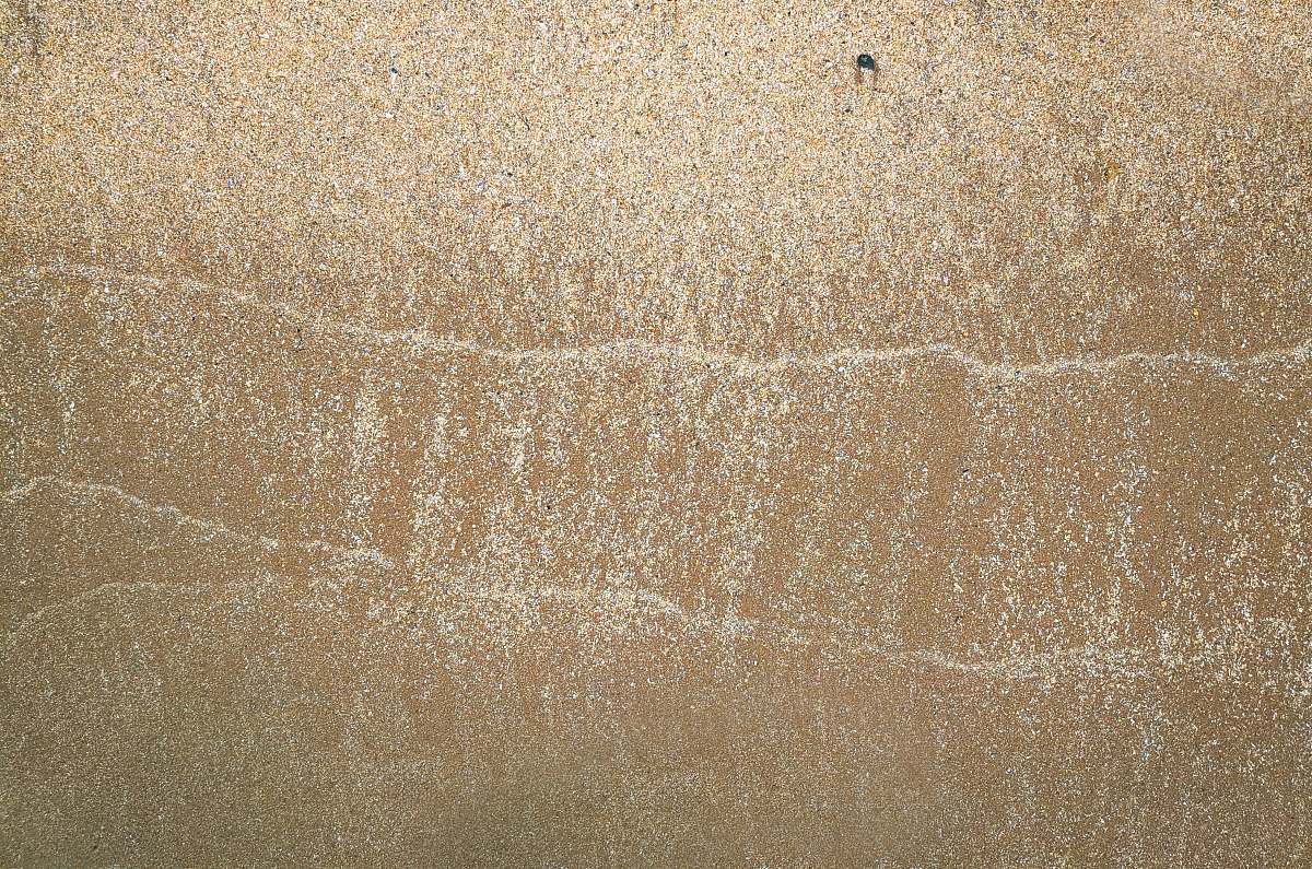 rug bird's eye view of beach line brown