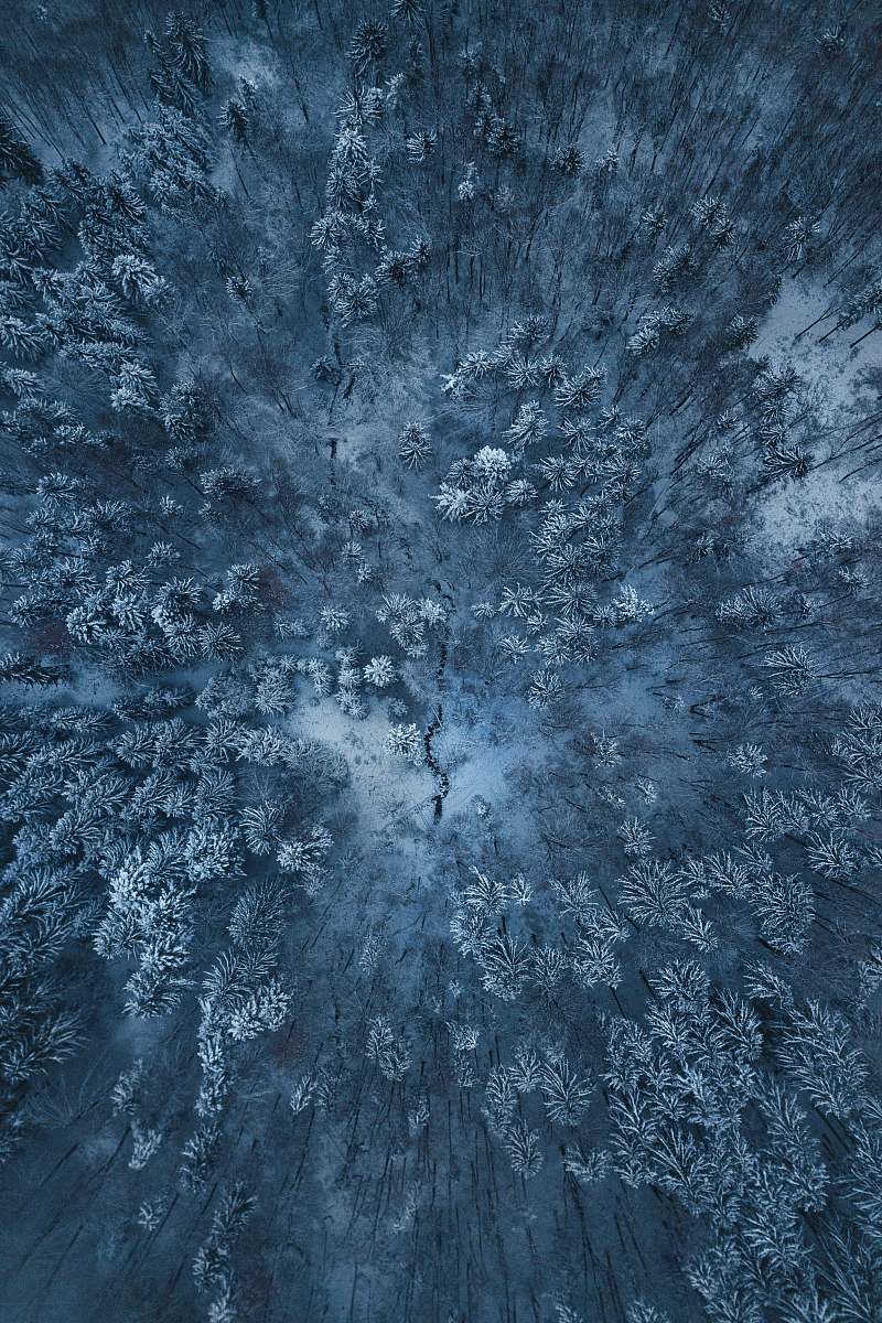 rug birds eye view of snow covered trees pattern
