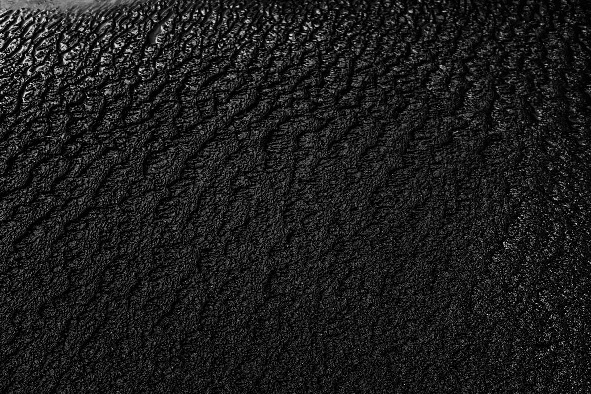 black-and-white black and gray floral textile water