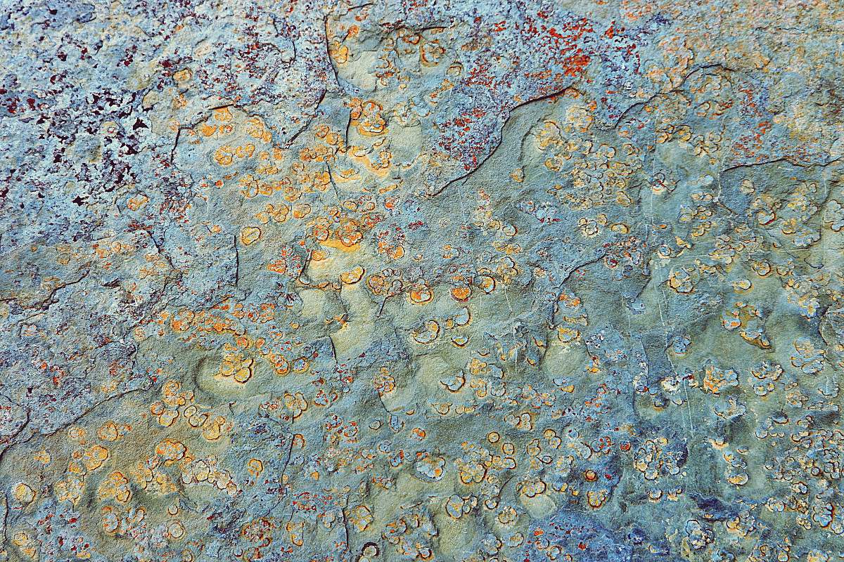 rock blue and white abstract painting rug