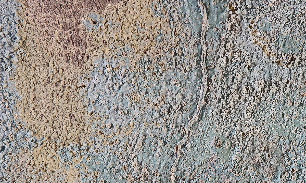 nature brown and gray soil concrete