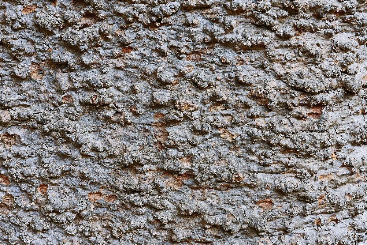 rock brown and white concrete wall tenerife