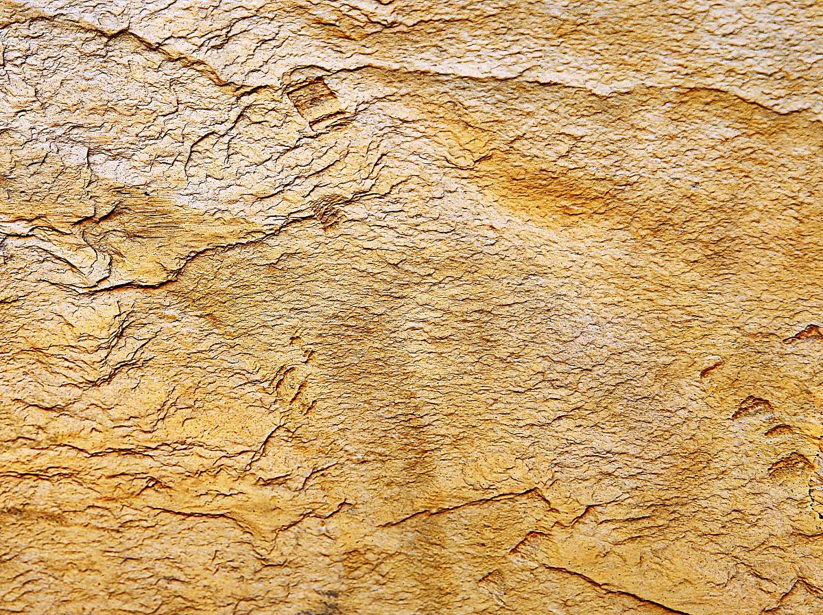 wood brown and white concrete wall rock