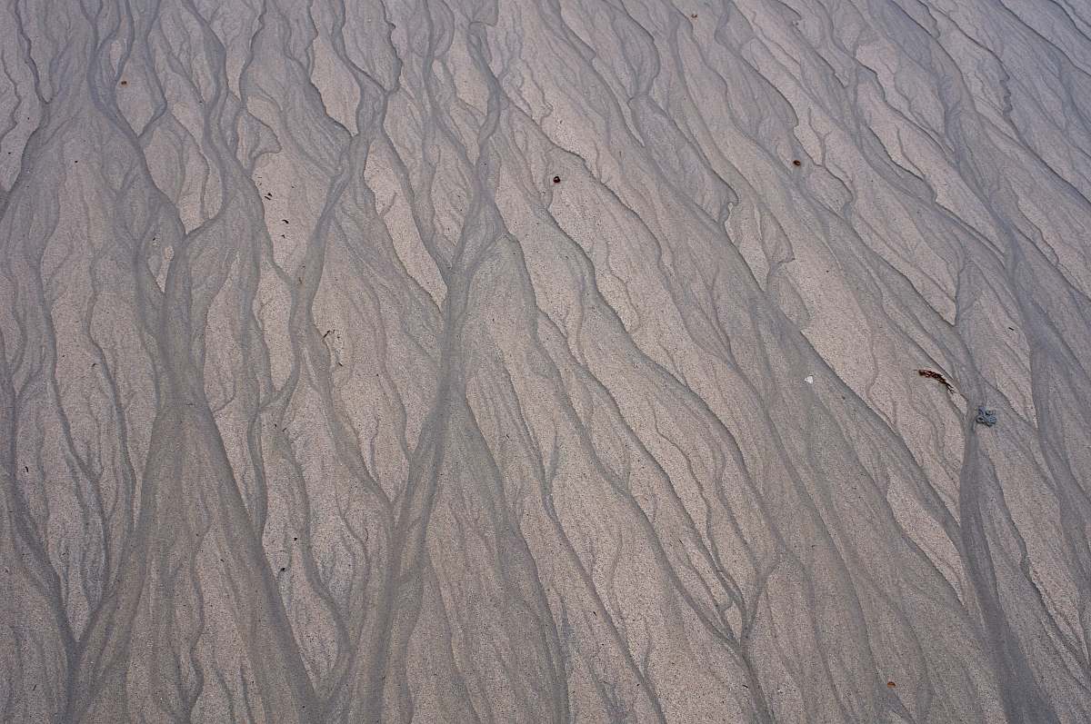 nature brown sand with footprints during daytime soil